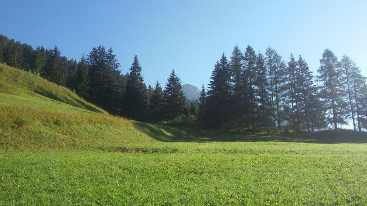 CasaMau Studio Campitello di Fassa Bagian luar foto