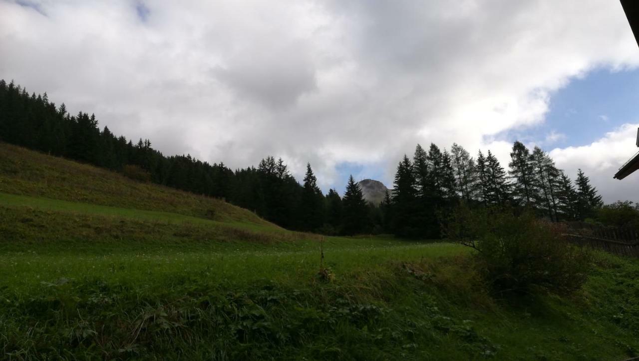 CasaMau Studio Campitello di Fassa Bagian luar foto